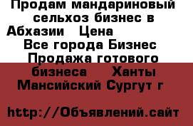 Продам мандариновый сельхоз-бизнес в Абхазии › Цена ­ 1 000 000 - Все города Бизнес » Продажа готового бизнеса   . Ханты-Мансийский,Сургут г.